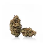 Animal Cookies - Image 2